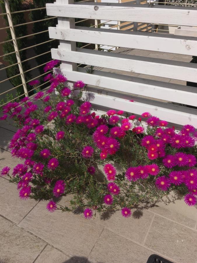 Antonella Gardalake 2 Desenzano del Garda Eksteriør bilde